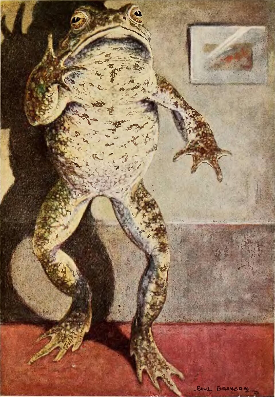 Mr. Toad, painting by Paul Bransom, 1913